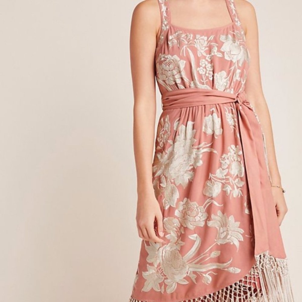 Anthropologie Embroidered Fringe Dress 12